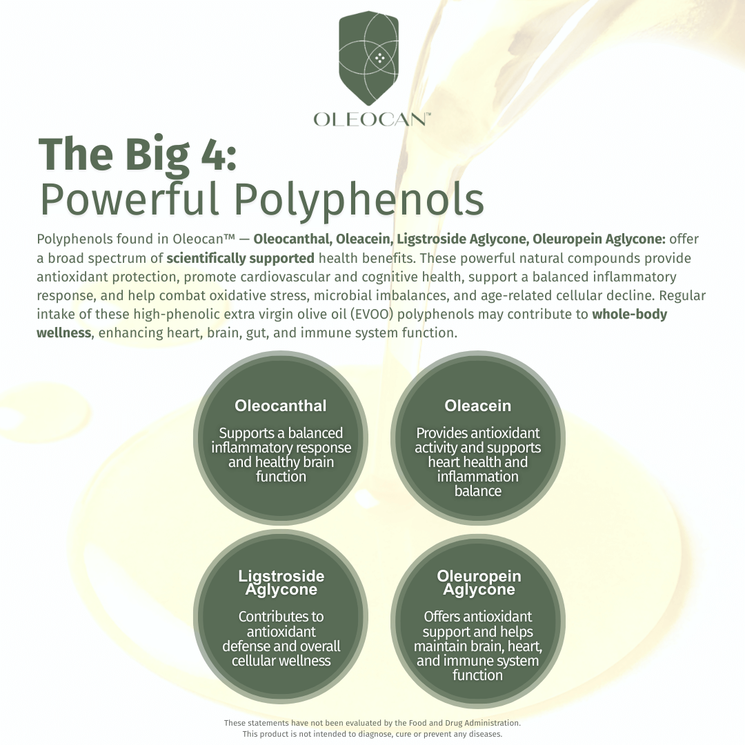 An infographic titled “The Big 4: Powerful Polyphenols” spotlights the health benefits of key olive polyphenols—Oleocanthal, Oleacein, Ligstroside Aglycone, and Oleuropein Aglycone—featured in OLEOCAN™ Capsules Broad Spectrum EVOO supplement.